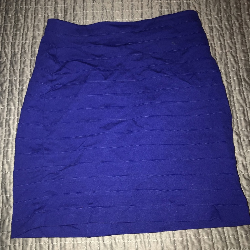 Express Bodycon Skirt
